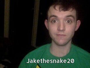 Jakethesnake20