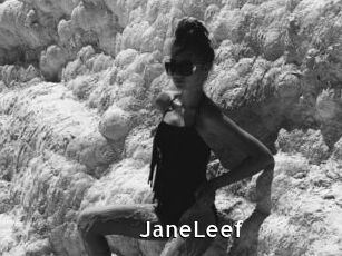 JaneLeef My Porno Stash