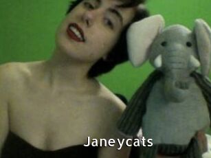 Janeycats
