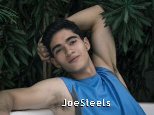 JoeSteels