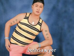JoshSawyer My Porno Stash