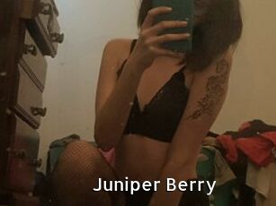 Juniper_Berry