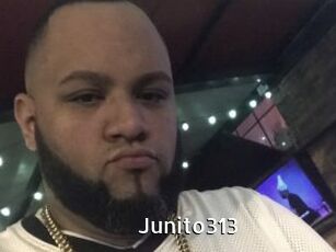 Junito313