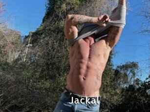 Jackal
