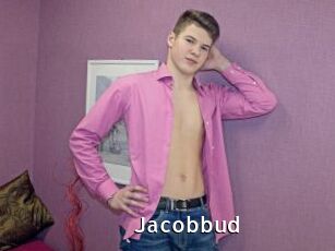 Jacobbud