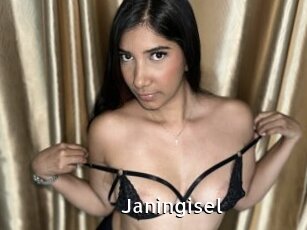 Janingisel