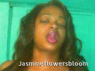 Jasmineflowersbloom