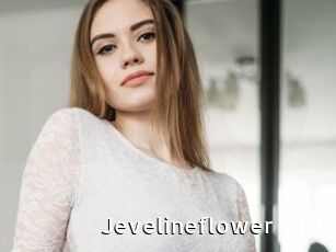 Jevelineflower