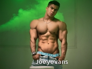 joeyevans My Porno Stash