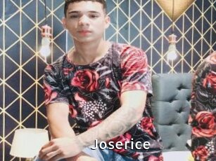 Joserice