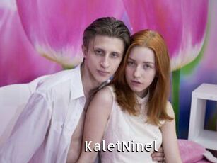 KaletNinel