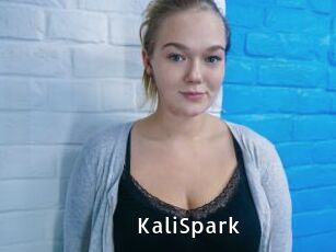 KaliSpark