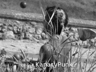 KanaryPunk