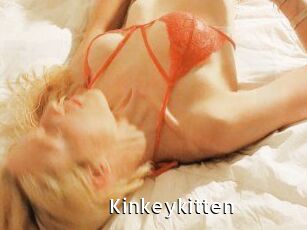 Kinkeykitten