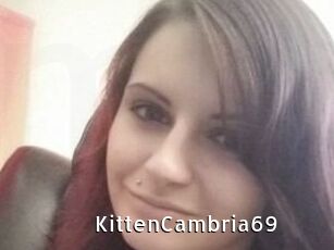 KittenCambria69