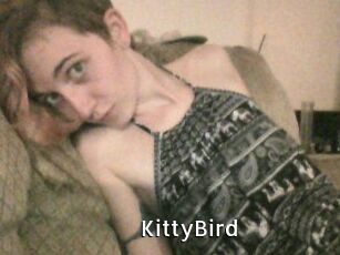KittyBird