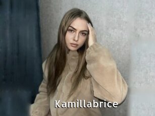 Kamillabrice