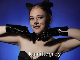 Kamillegrey