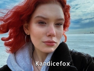 Kandicefox