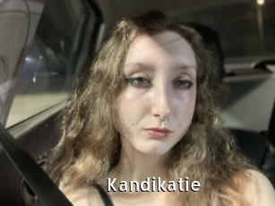 Kandikatie