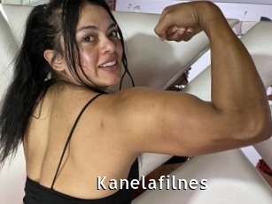 Kanelafilnes