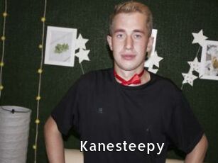 Kanesteepy