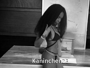 Kaninchen23