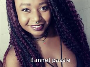 Kannel_passie