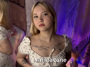 Karinacane