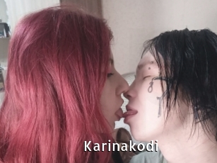 Karinakodi