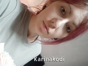 Karinakodi