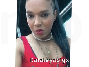 Kataleyabigx