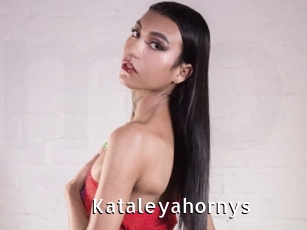 kataleyahornys My Porno Stash