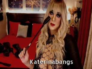 Katerinabangs
