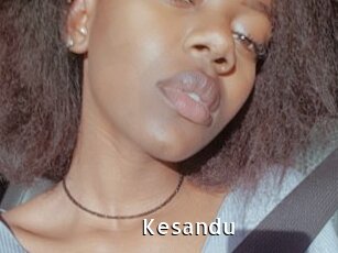 Kesandu