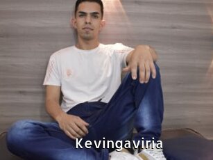 Kevingaviria