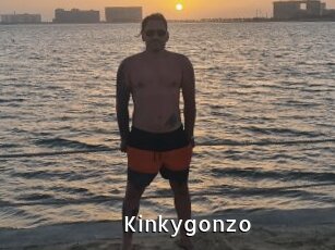 Kinkygonzo