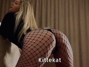 Kittekat