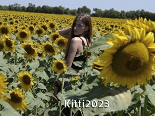 Kitti2023