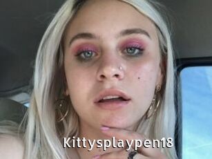 Kittysplaypen18