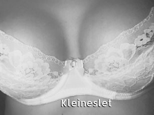 Kleineslet