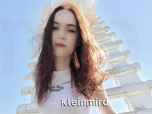 Kleinmird