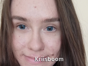 Kriisboom