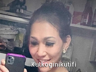 Kulkoginikutifi