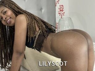 LILYSCOT