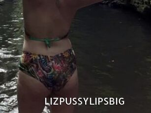LIZPUSSYLIPSBIG