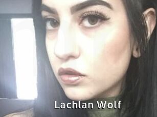Lachlan_Wolf