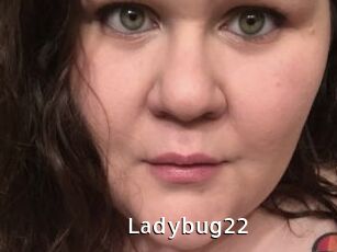 Ladybug22
