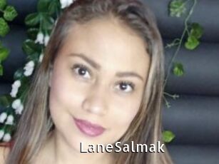 LaneSalmak