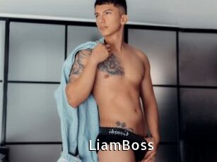 LiamBoss My Porno Stash
